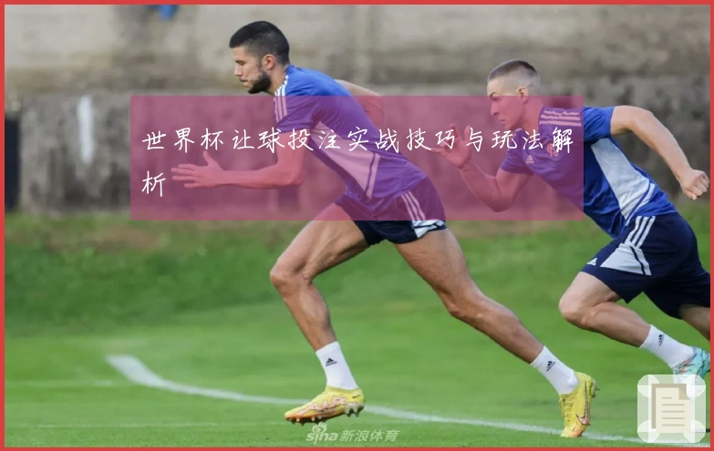 世界杯让球投注实战技巧与玩法解析